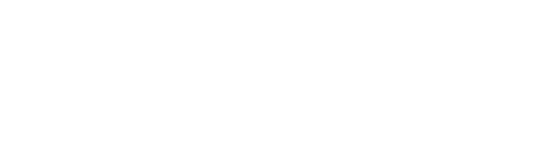 NSB Cyber